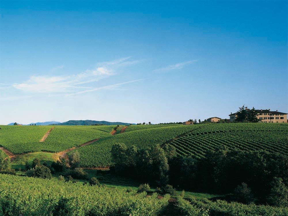 Agriturismo Tenuta La Marchesa โนวีลิกูเร ภายนอก รูปภาพ